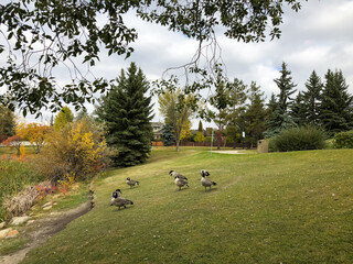 Autumn Colors around Big Lake