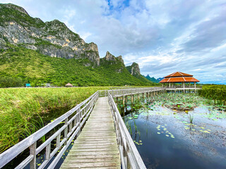 Fototapeta premium Sam Roi Yot Freshwater Marsh, Walk over the marsh, Bueng Bua Wood Boardwalk in Sam Roi Yot national park in Prachuap Khiri Khan, Thailand