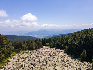 Aerial view of Morenite (Moraines) - Stone river at Vitosha Mountain, Bulgaria