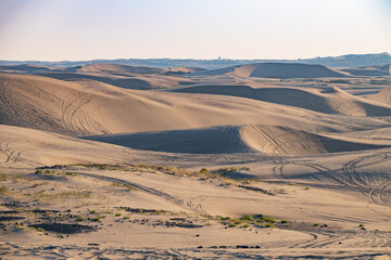 Fototapeta na wymiar St. Anthony sand dunes, Idaho, USA 