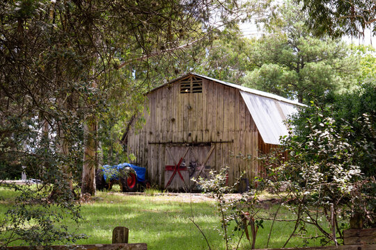 a barn among the trees
