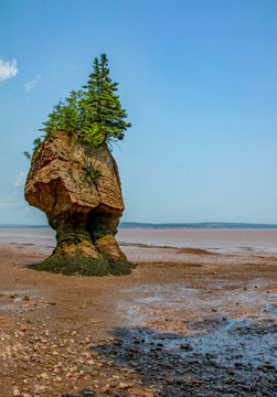 Low tide at Hopewell Rocks on the Bay of Fundy in New Brunswick, Canada. Erosion over the centuries has sculpted some interesting geological formations.