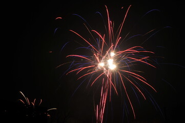 Colorful fireworks in the night sky