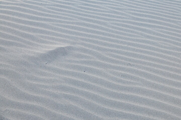 Lines in the sand, St. Anthony sand dunes, Idaho, USA