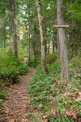 Trail in the middle of the woods with campground signage posted on a tree at Tacoma, Washington