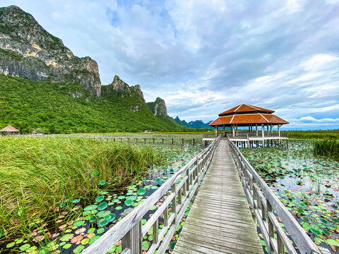 Sam Roi Yot Freshwater Marsh, Walk over the marsh, Bueng Bua Wood Boardwalk in Sam Roi Yot national park in Prachuap Khiri Khan, Thailand