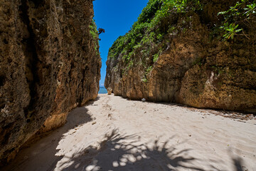備瀬のワルミ 沖縄の自然が作った神秘的な風景 備瀬のワルミ全景