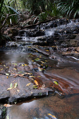 Fototapeta na wymiar Running water. The Springbrook National Park is a protected national park that is located in the Gold Coast hinterland of Queensland, Australia. 
