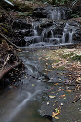 Running water. The Springbrook National Park is a protected national park that is located in the...