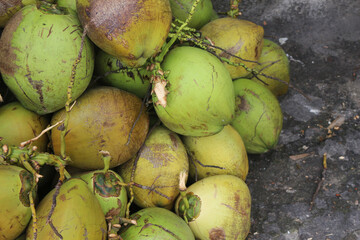 a pile of coconuts visible from the roadside.
