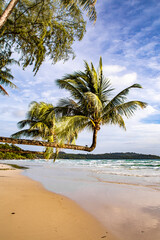 Fototapeta premium Klong Chao beach and its Double Palm Trees in koh Kood, Trat, Thailand