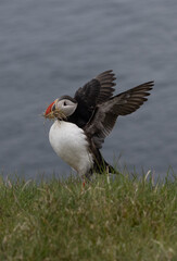 Iceland Summer June 2021