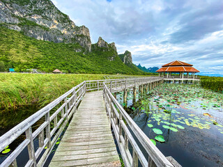 Fototapeta premium Sam Roi Yot Freshwater Marsh, Walk over the marsh, Bueng Bua Wood Boardwalk in Sam Roi Yot national park in Prachuap Khiri Khan, Thailand