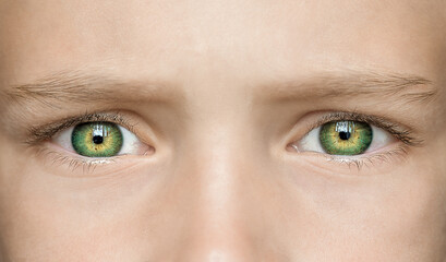 Beautiful green eyes macro shot. Closeup of boy eyes open.