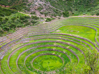 Peru Rice Field Maze