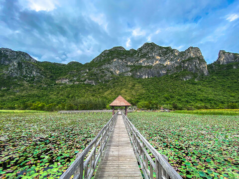 Sam Roi Yot Freshwater Marsh, Walk over the marsh, Bueng Bua Wood Boardwalk in Sam Roi Yot national park in Prachuap Khiri Khan, Thailand