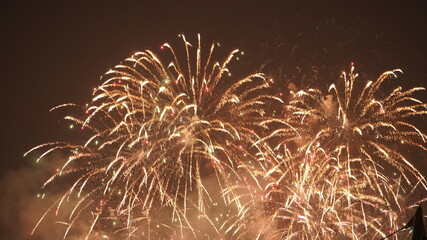 The beautiful firework show in the dark sky
