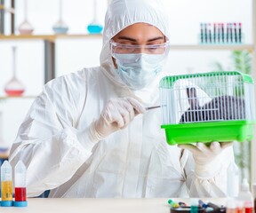 Scientist doing testing on animals rabbit