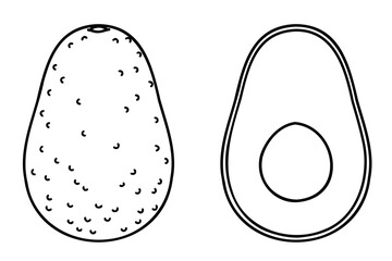 Avocado. Vector line art illustrations set.
