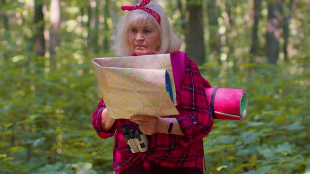 Caucasian female hiker grandmother standing in forest, examining route plan. Senior old tourist woman lost and looking at map while having walk in wood outdoors. Tourism, summer backpack trip concept