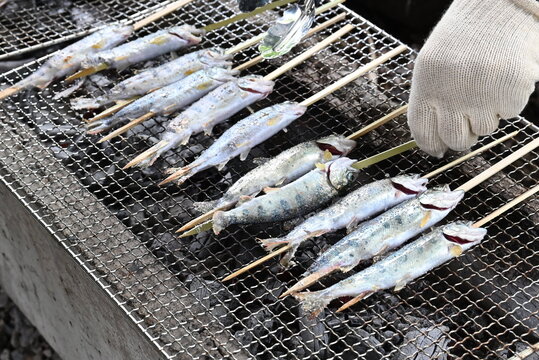 37 件の最適な アマゴの塩焼き 画像 ストック写真 ベクター Adobe Stock