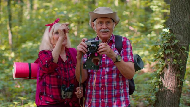 Senior old grandmother grandfather tourists walking with backpacks, taking photos with camera in wood. Elderly man woman hiking in forest, enjoying adventures. Active mature family. Tourism, traveling