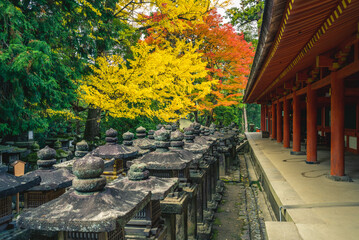 Kasuga Taisha, a shrine of one thousand lantern at nara, kansai, japan