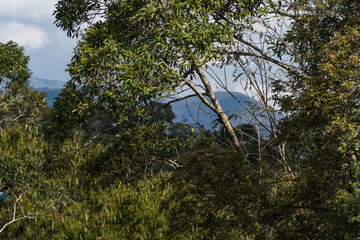 Aerial view of Itaipava, Petrópolis. Mountains with blue sky and some clouds around. Vegetation in the foreground. Mountain region of Rio de Janeiro, Brazil.