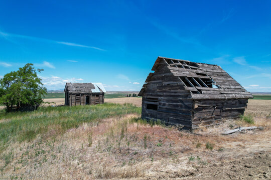 Crumbling, uninhabited, abandoned old farm buildings in the field