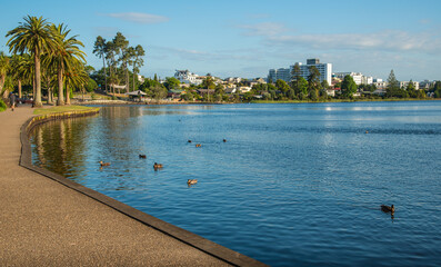 Scenery view of Lake Rotoroa (or Hamilton Lake Domain) in Hamilton, New Zealand. It has a surface area of about 54 hectares and an average depth of 2.4 metres.