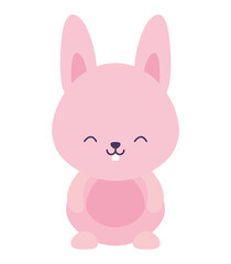 cute pink rabbit