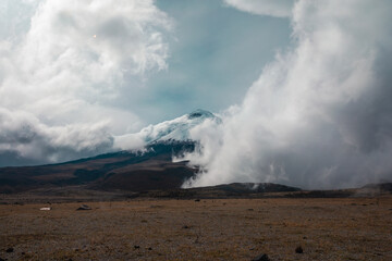 Cotopaxi National Park, Ecuador