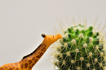 toy giraffe