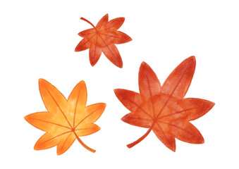 紅葉　色鉛筆　手描きイラスト