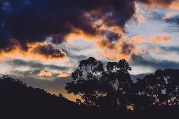 sunset with purple and pink tones over the hills and eucalyptus gum trees