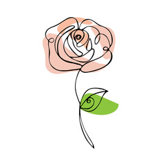 Colored outline of a rose with a leaf