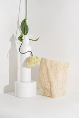 Serum and natural sponges on a light background.