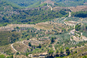 Fototapeta na wymiar Coll de Rates landscape view showing the stone walled terrace among the pine trees. Terraces are said to date back to Roman times.