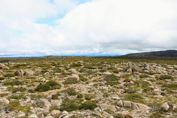 A dry field above the cloud