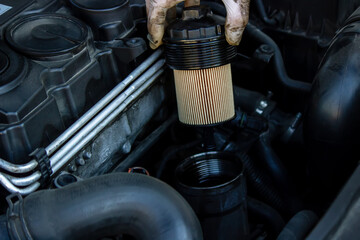 replacing the oil filter on the car.