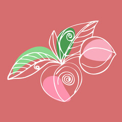 Colored outline of peaches with leaves