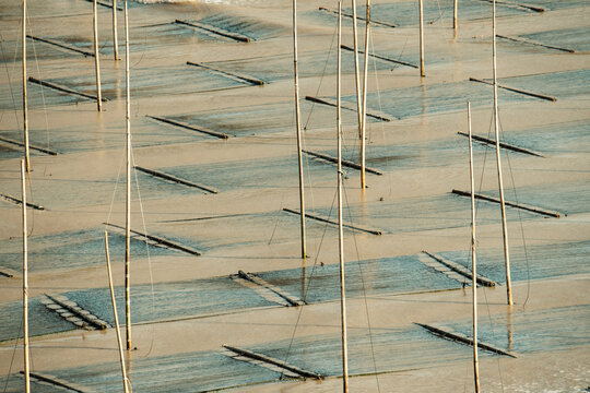 Seaweed Farm In Xiapu County, China's Fujian Province 