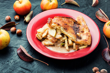 Homemade autumn apple pie.