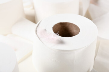 Roll of toilet paper and feather on light background, closeup