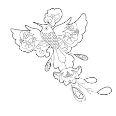 Contour linear illustration for coloring book with paradise bird. Beautiful tropical exotic bird,  anti stress picture. Line art design for adult or kids  in zentangle style and coloring page.