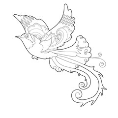 Contour linear illustration for coloring book with paradise bird. Beautiful tropical exotic bird,  anti stress picture. Line art design for adult or kids  in zentangle style and coloring page.