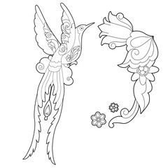 Contour linear illustration for coloring book with paradise bird. Beautiful tropical exotic bird,  anti stress picture. Line art design for adult or kids  in zentangle style and coloring page.