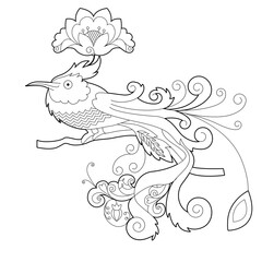 Contour linear illustration for coloring book with paradise bird. Beautiful tropical exotic bird,  anti stress picture. Line art design for adult or kids  in zentangle style and coloring page.