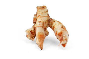 Galangal or Alpinia galanga isolated on a white background