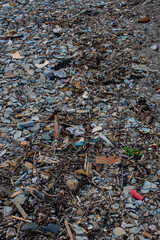 garbage on the beach